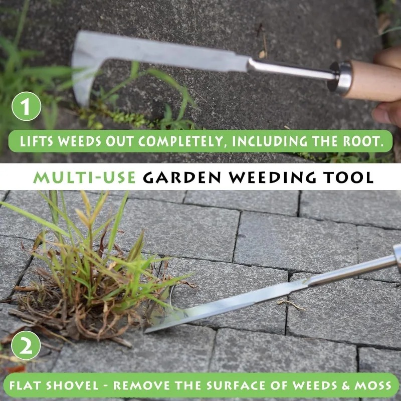 Stainless Steel Gap Weeding To - Gardening Tools Used For Weeding review and price