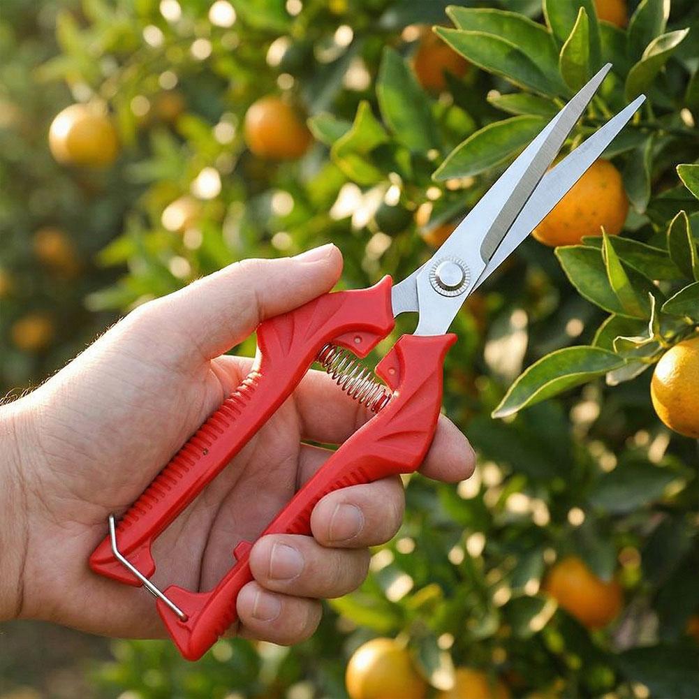 1PC Stainless Steel Garden Sci - Gardening Tools To Cut Branches review and price