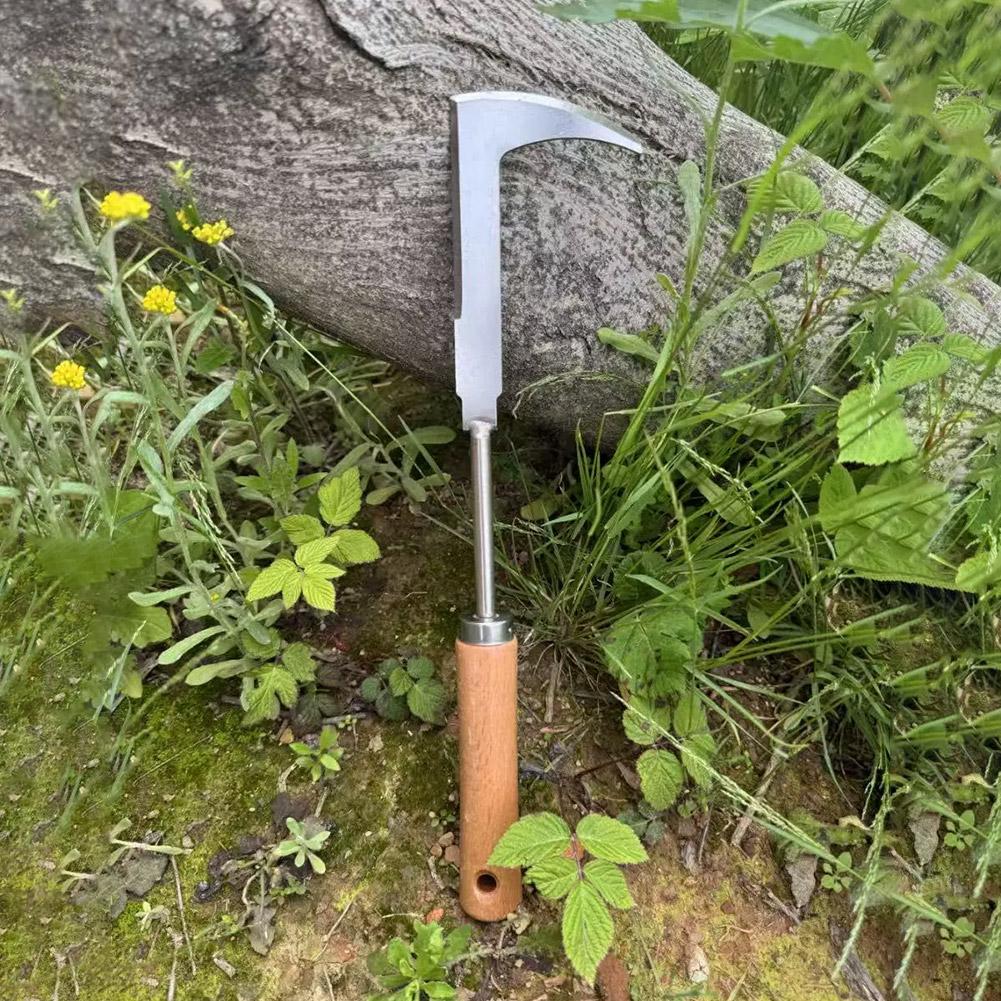 Stainless Steel Gap Weeding To - Gardening Tools Used For Weeding review and price