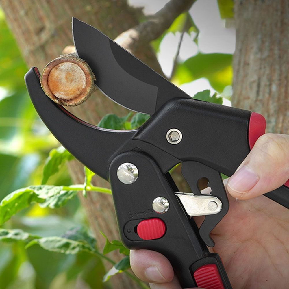 Adjustable Ratchet Gardening P - Gardening Tools Sharp review and price