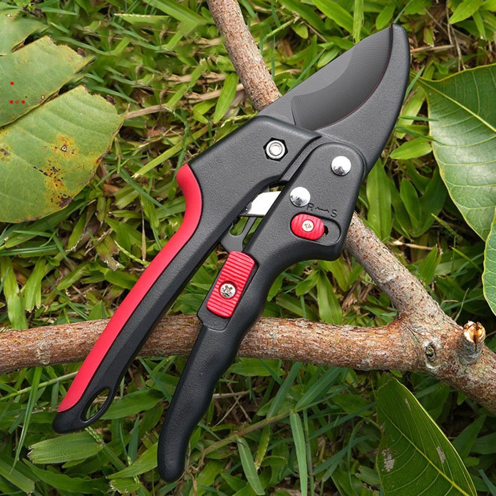 Adjustable Ratchet Gardening P - Gardening Tools Sharp review and price