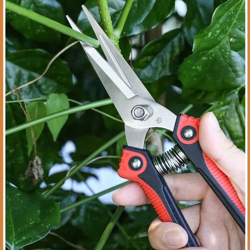 NEWSHARK Stainless Steel Pruni - Gardening Tools Sharp review and price