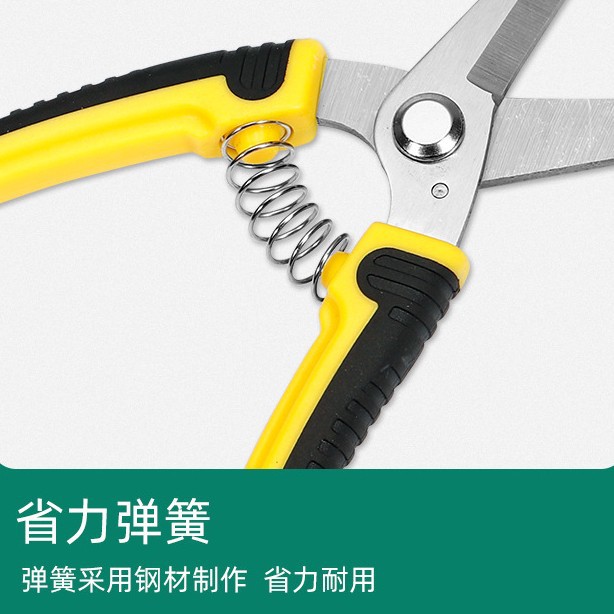 Stainless Steel Pruning Cut Fl - Gardening Tools To Cut Branches review and price