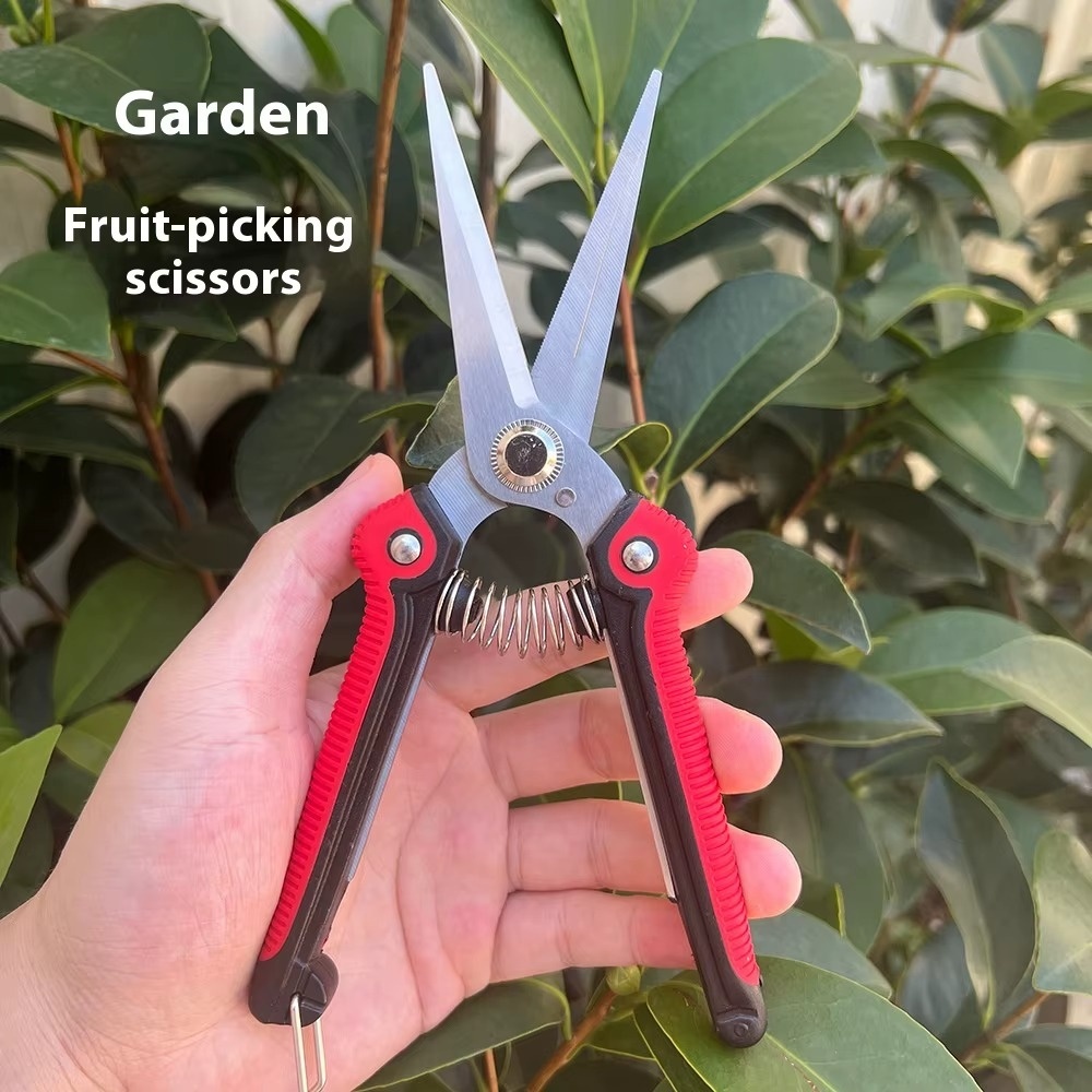 Trimming Tools Pruning Shear B - Gardening Tools Sharp review and price