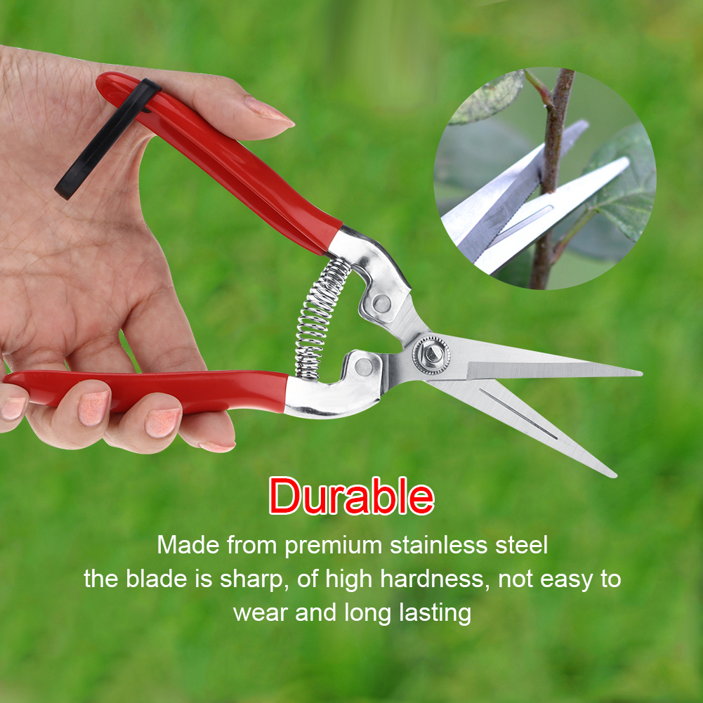 Sturdy Fruit Tree Bonsai Garde - Gardening Tools For Women review and price