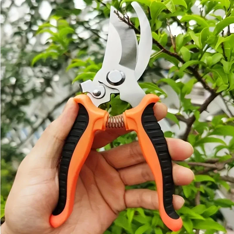 Proof Sharp Garden Trimming Sc - Gardening Tools Sharp review and price