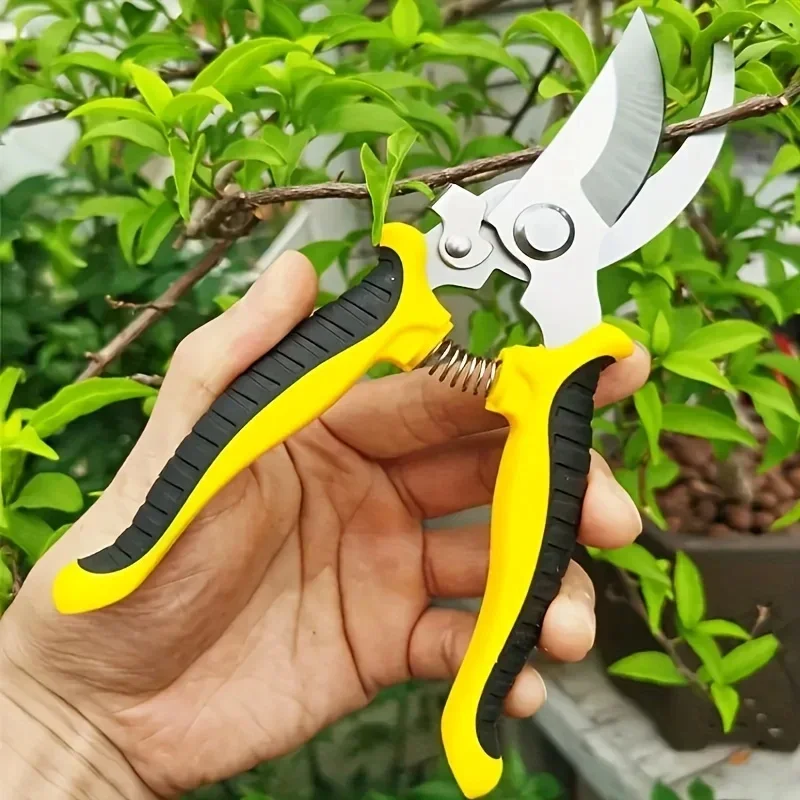 Proof Sharp Garden Trimming Sc - Gardening Tools Sharp review and price