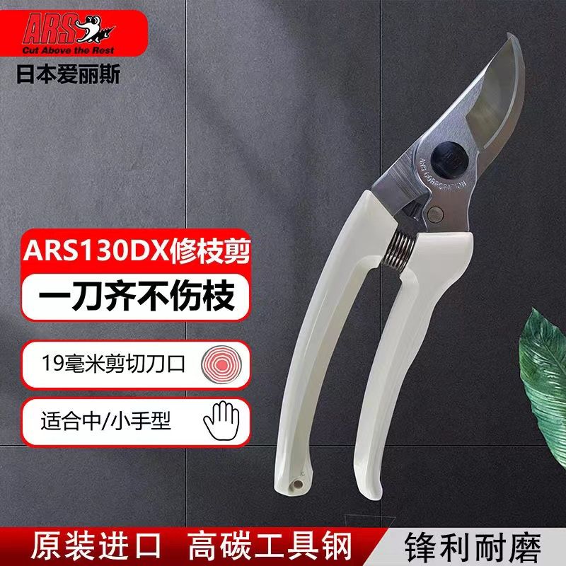Pruning scissors, garden tools - Gardening Tools Japan review and price