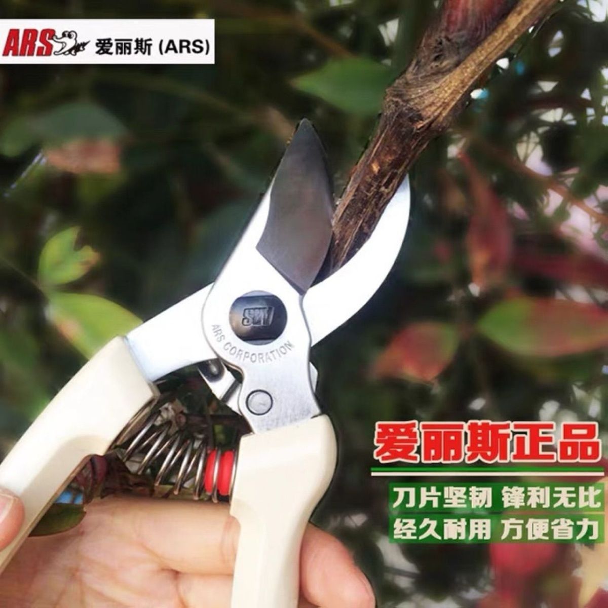 Pruning scissors, garden tools - Gardening Tools Japan review and price