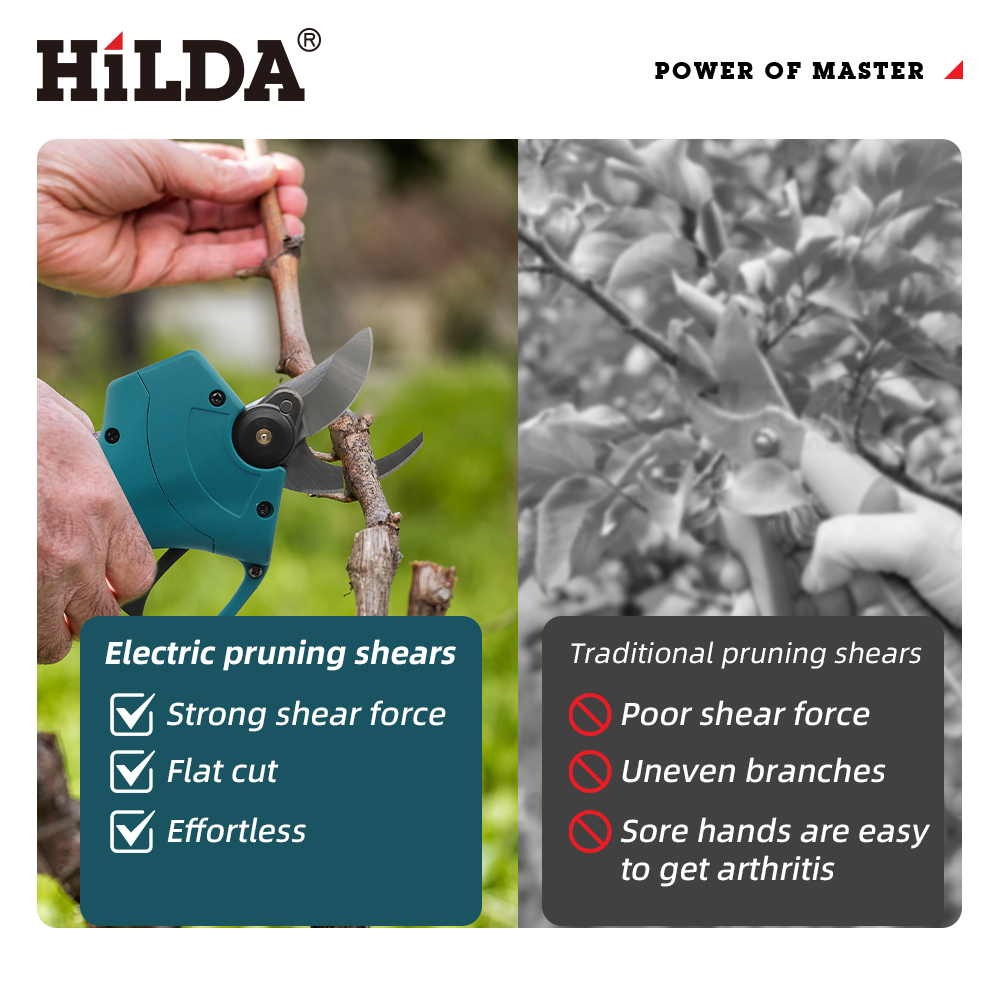 HILDA 18V Brushless Cordless E - Gardening Tools Basic review and price