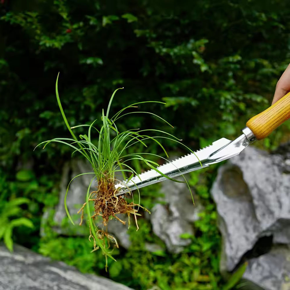 Stainless Steel Weed Removal T - Gardening Tools Sharp review and price