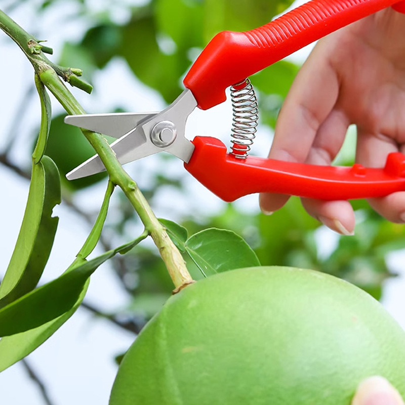 One-handed Scissors Pruning Sh - Gardening Tools To Cut Branches review and price