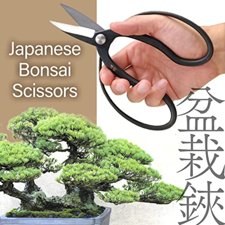Japanese Suiryu Bonsai Scissor - Gardening Tools Japan review and price
