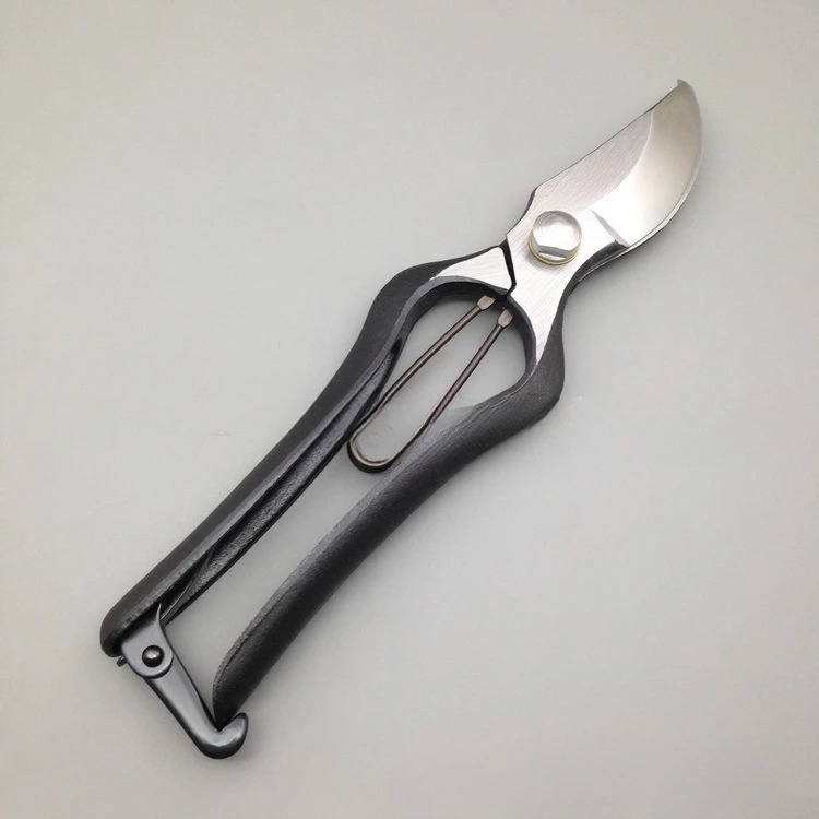 200MM Branch Scissors, Importe - Gardening Tools Japan review and price