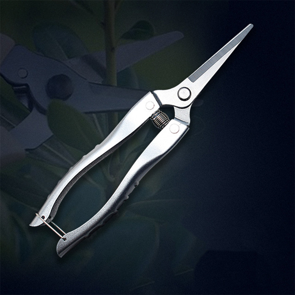 Professional Grade Stainless S - Gardening Tools Sharp review and price