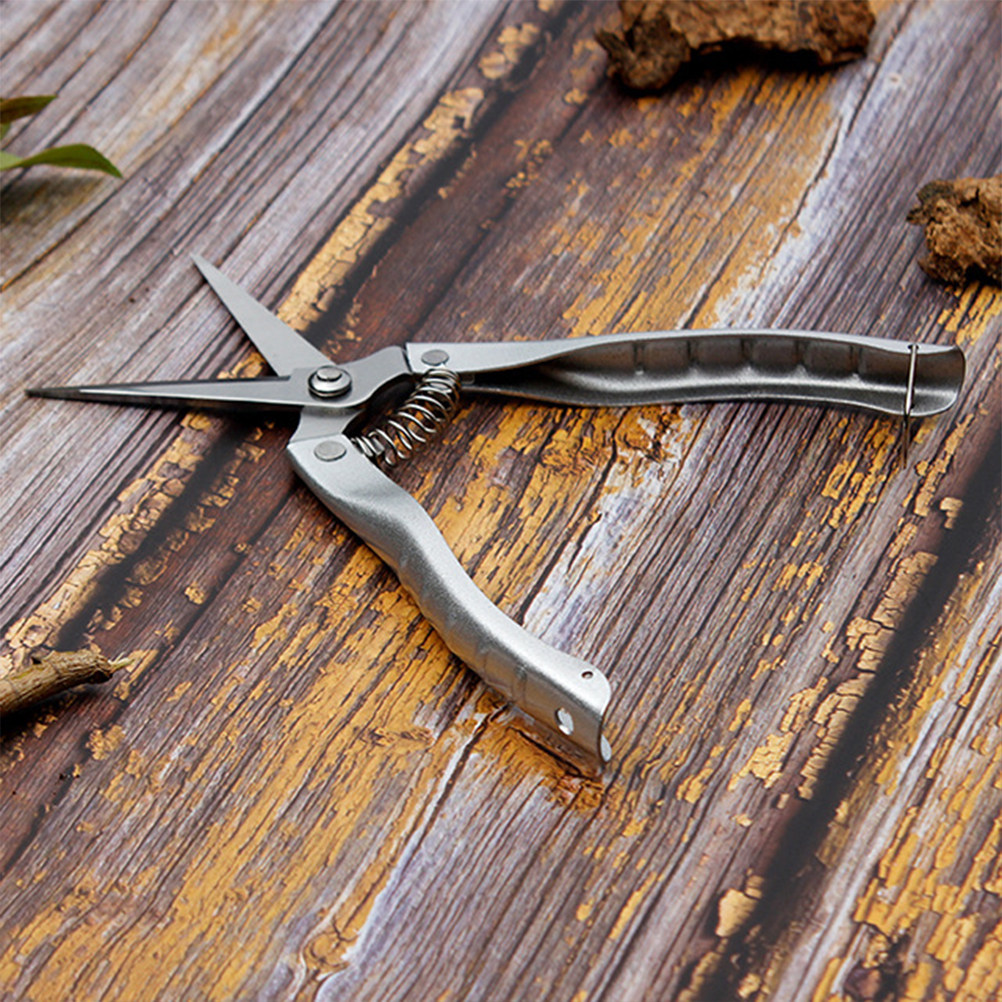 Professional Grade Stainless S - Gardening Tools Sharp review and price