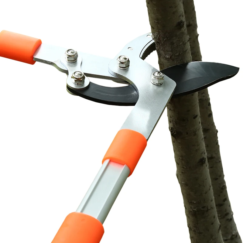 Long Length Scissor Hedge Anvi - Gardening Tools German review and price