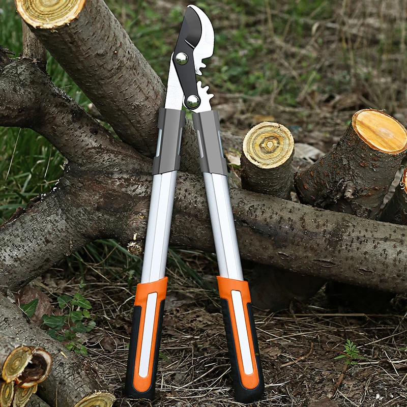 Long Length Scissor Hedge Anvi - Gardening Tools German review and price
