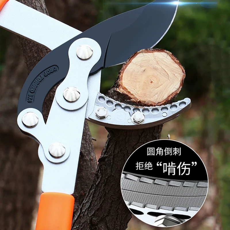 Long Length Scissor Hedge Anvi - Gardening Tools German review and price