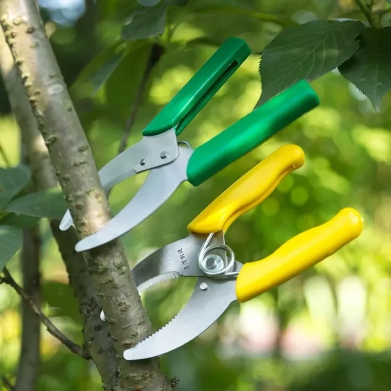 Sharp Stripping Peeling Knife  - Gardening Tools Sharp review and price
