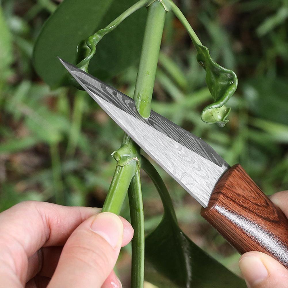 Sharp Grafting Knife with Wood - Gardening Tools Sharp review and price