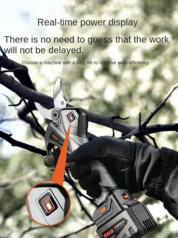 Electric Pruning Shears with I - Gardening Tools German review and price