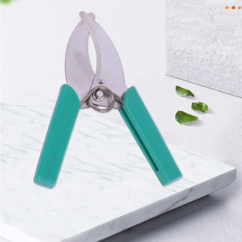 1PC Garden Tree Branches Ring  - Gardening Tools Sharp review and price