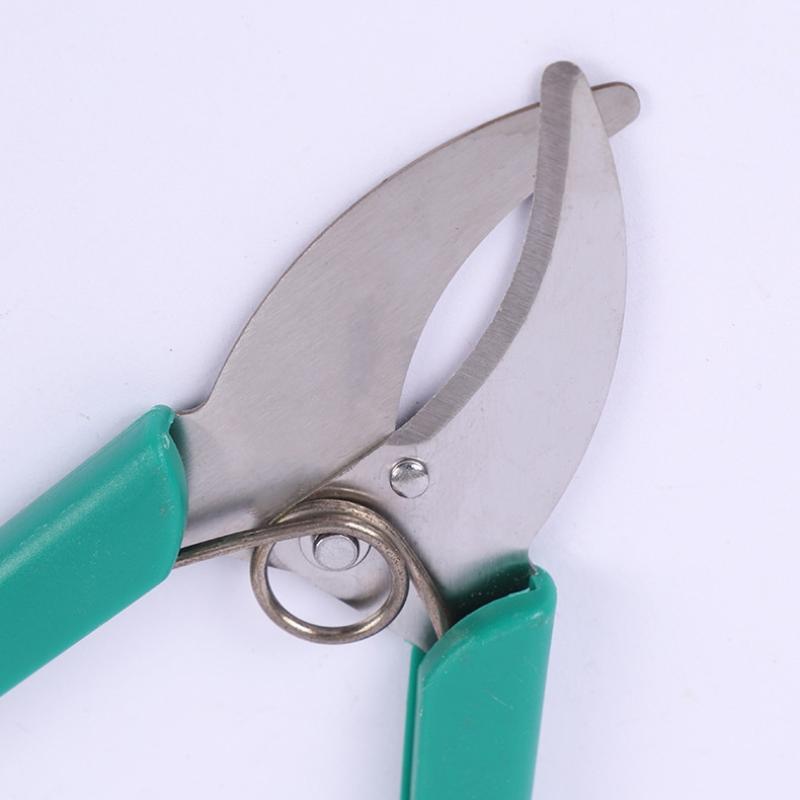 1PC Garden Tree Branches Ring  - Gardening Tools Sharp review and price