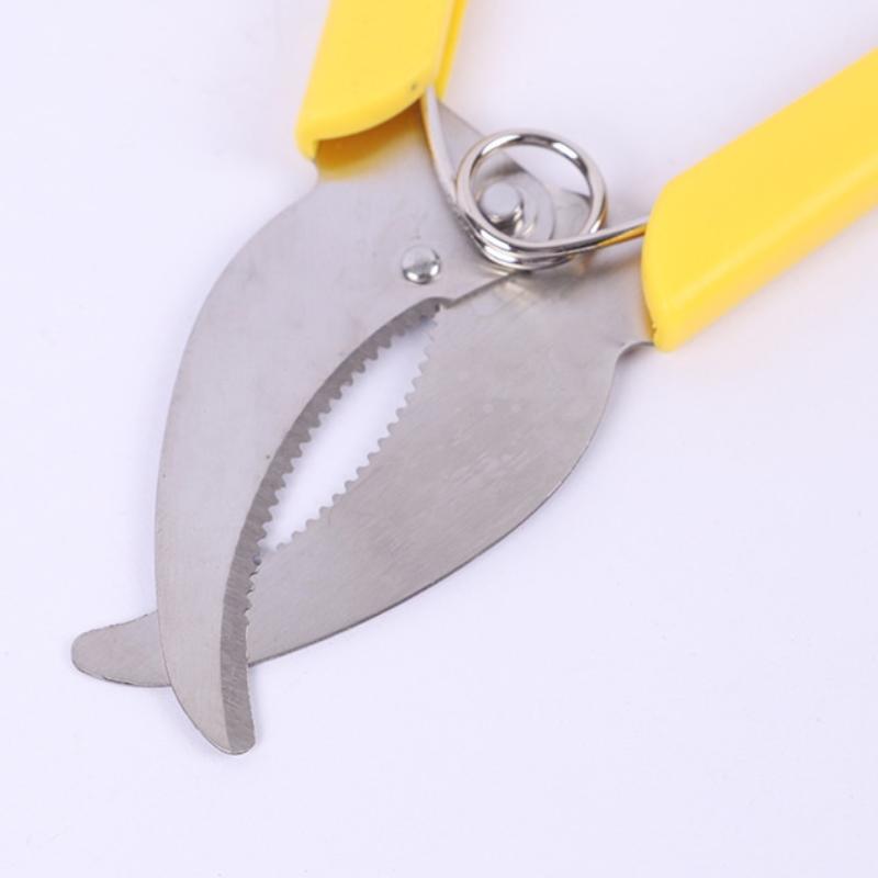 1PC Garden Tree Branches Ring  - Gardening Tools Sharp review and price