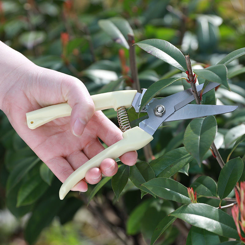 1PC Stainless Steel Pruning Sc - Gardening Tools To Cut Branches review and price