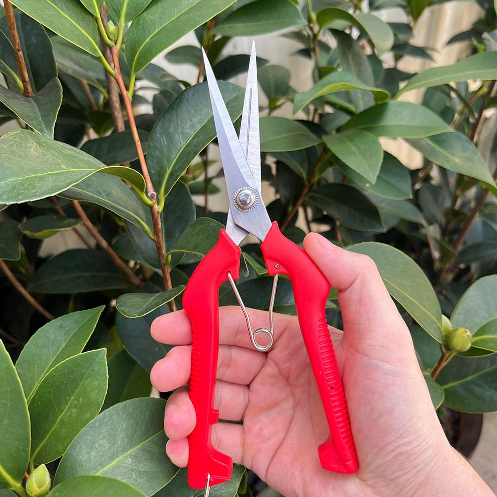 Pro Garden Pruning Shears Leng - Gardening Tools Basic review and price