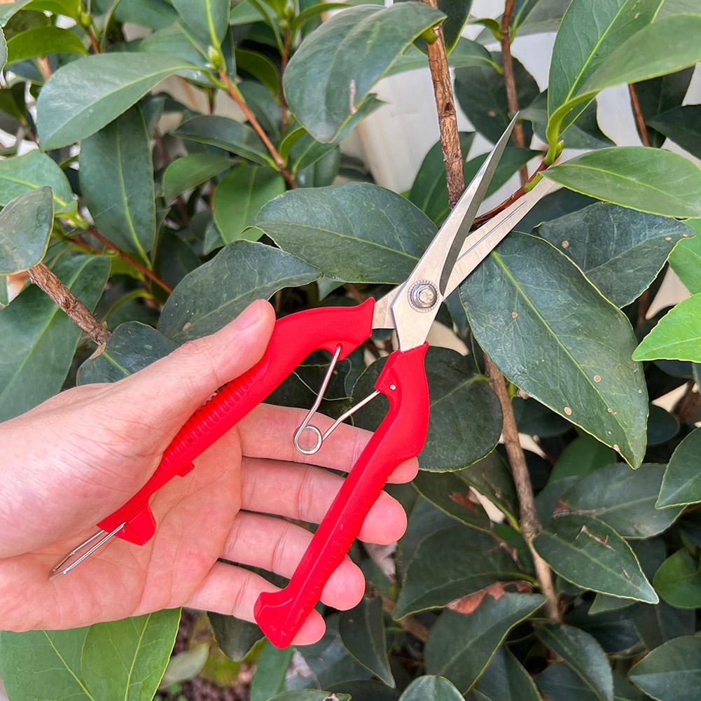 Pro Garden Pruning Shears Leng - Gardening Tools Basic review and price