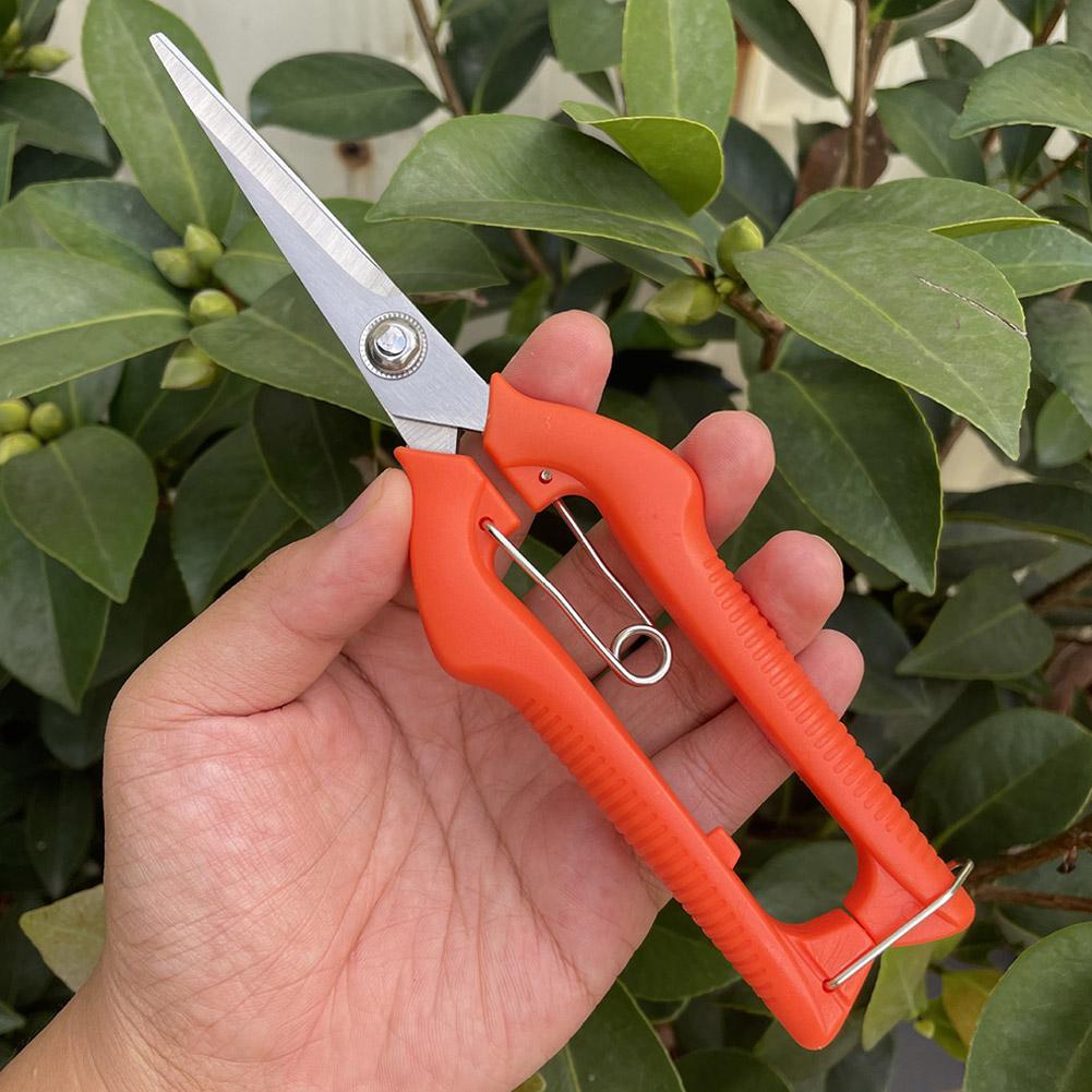 Pro Garden Pruning Shears Leng - Gardening Tools Basic review and price
