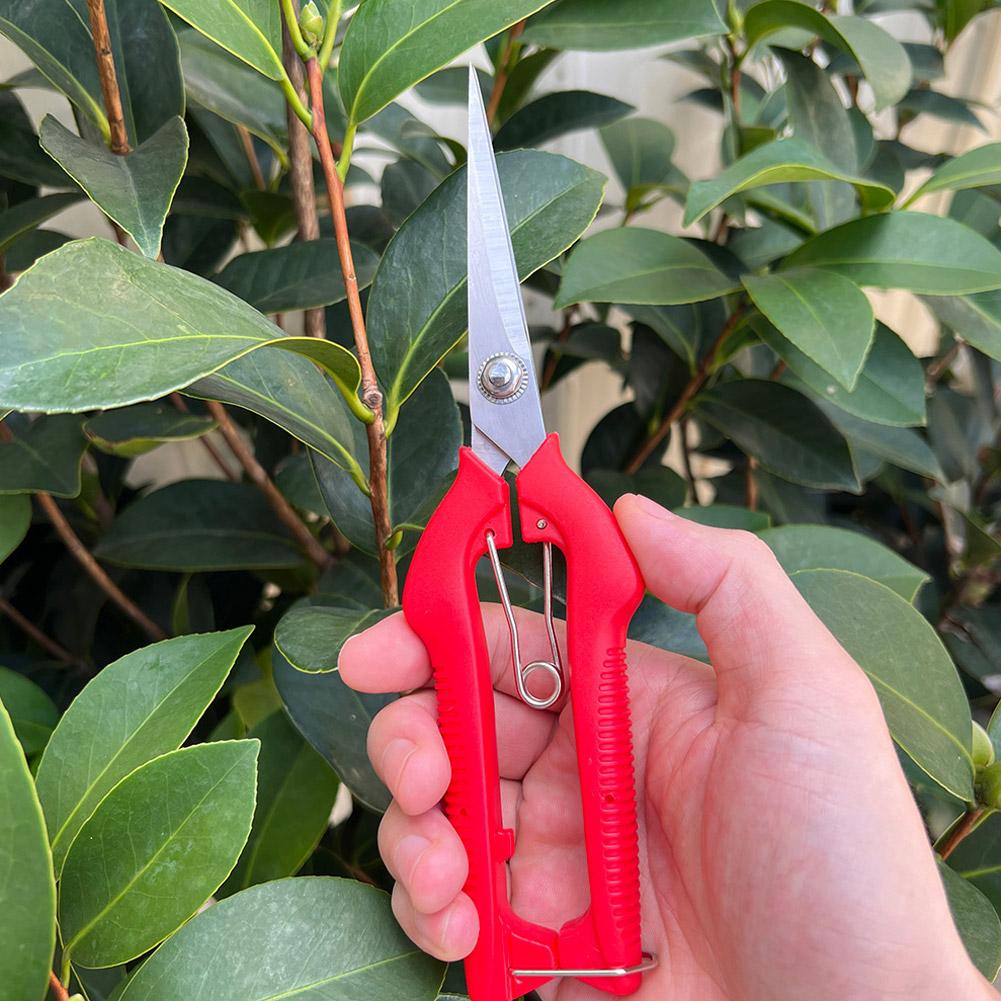 Pro Garden Pruning Shears Leng - Gardening Tools Basic review and price