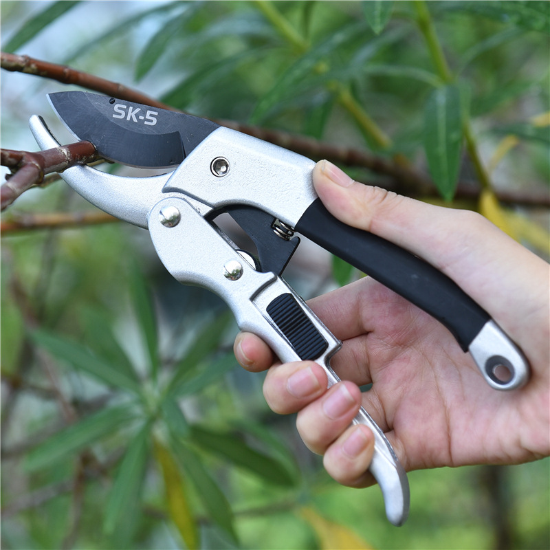 New 20cm Ratchet Plant Trim Ho - Gardening Tools To Cut Branches review and price