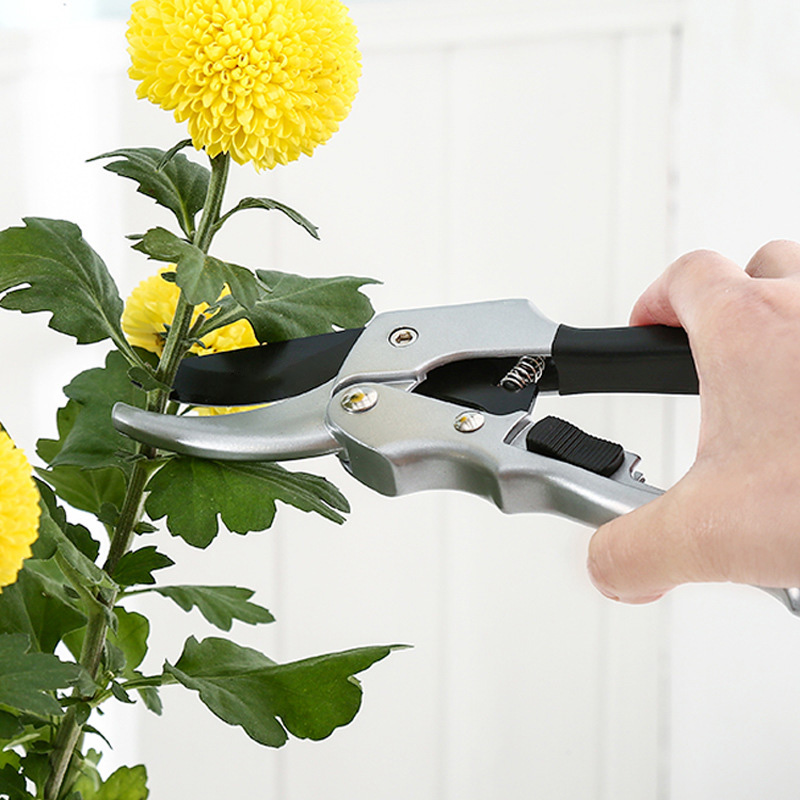 New 20cm Ratchet Plant Trim Ho - Gardening Tools To Cut Branches review and price