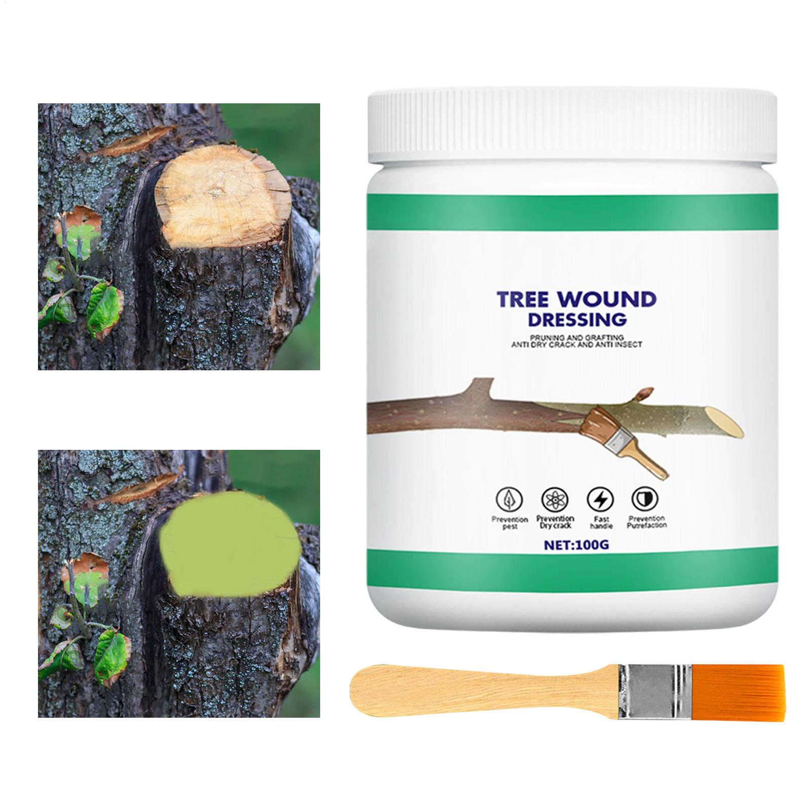 Tree Grafting Paste Tree Wound - Gardening Tools For Women review and price