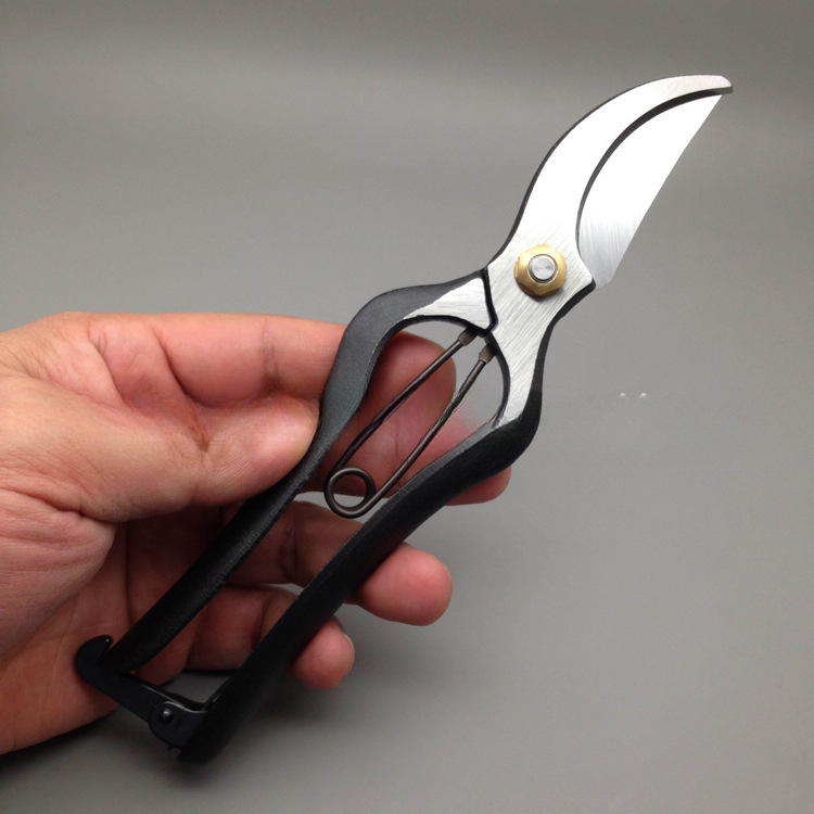 200MM Branch Scissors, Importe - Gardening Tools Japan review and price